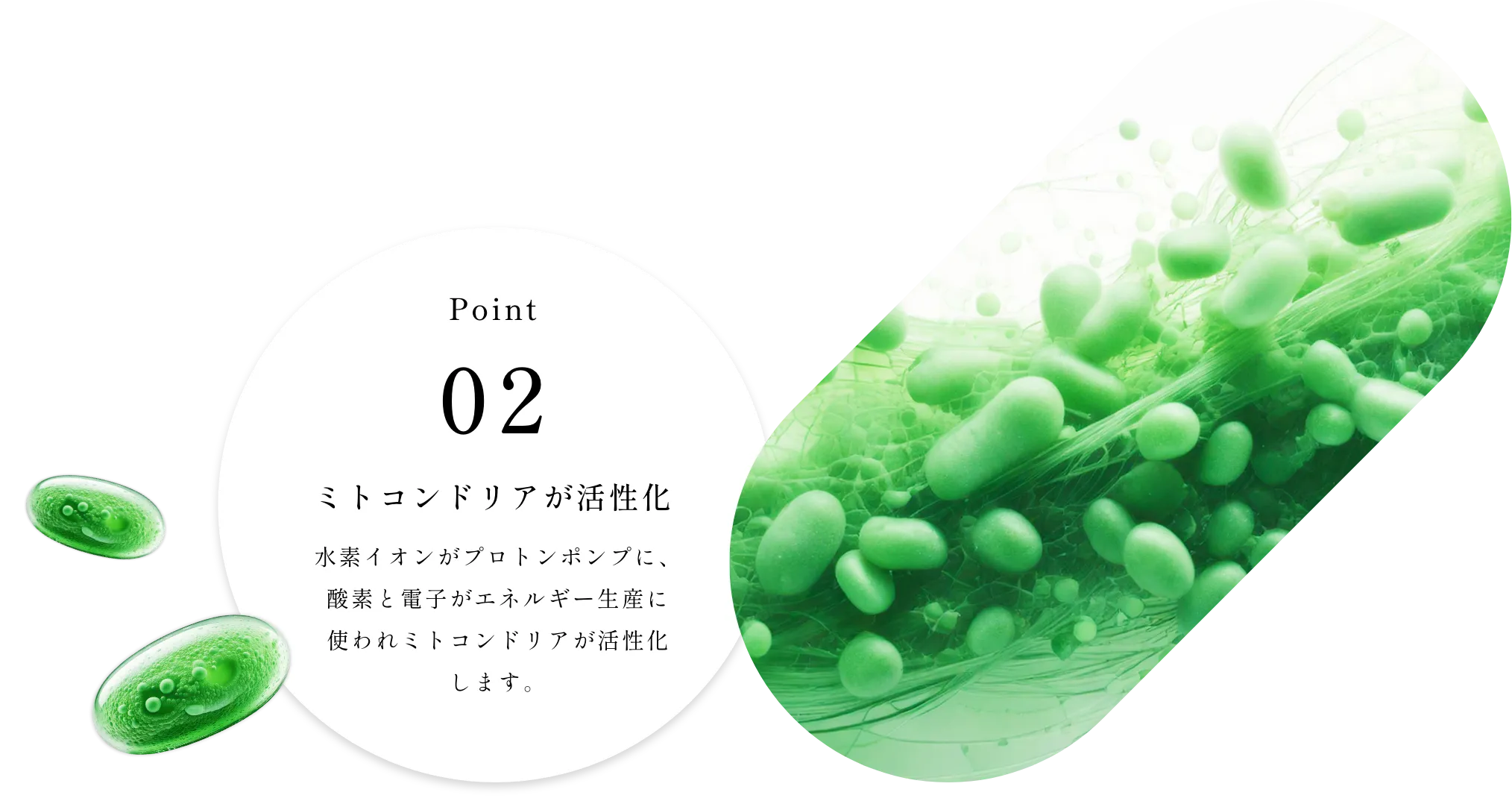 ミトコンドリアが活性化 水素イオンがプロトンポンプに、酸素と電子がエネルギー生産に使われミトコンドリアが活性化します。