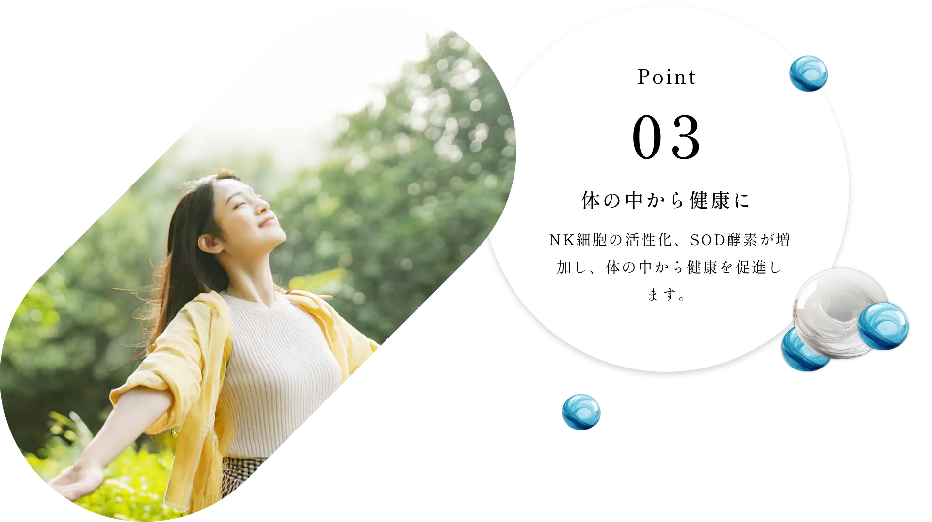 体の中から健康に NK細胞の活性化、SOD酵素が増加し、体の中から健康を促進します。